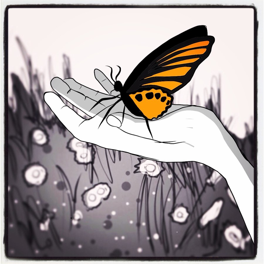 Collecting Butterflies